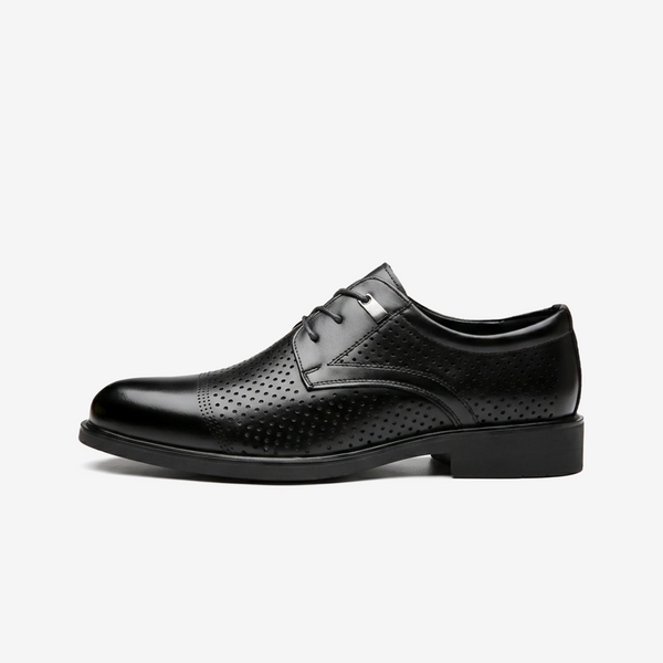 Elan | +6cm